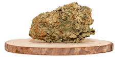 Buy Fruit Punch Sativa Strains Online Now